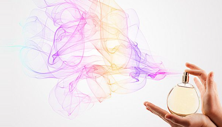 Luxury Perfume Collection by Hala - Image 2